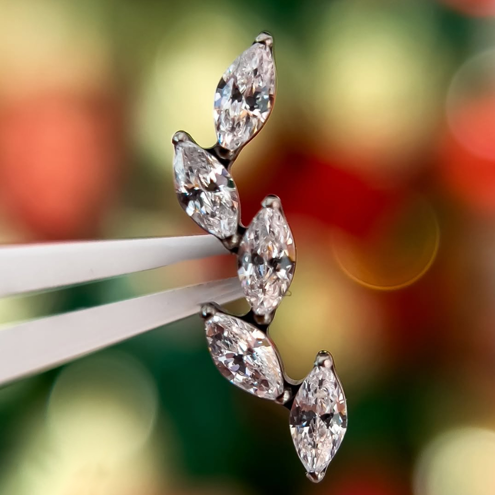 16G G23 Титановый пирсинг с пя – обзор и цена Cluster Stud Ear