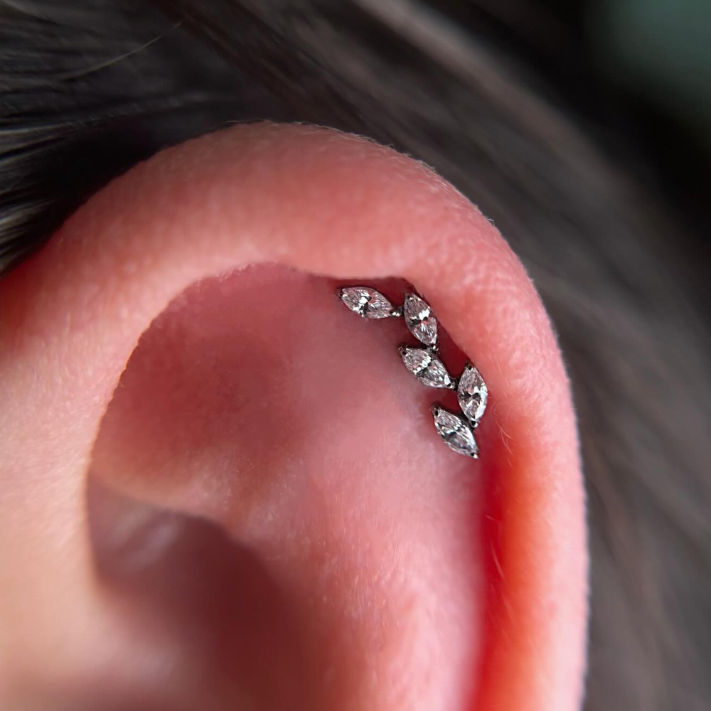 16G G23 Титановый пирсинг с пя – обзор и цена Cluster Stud Ear