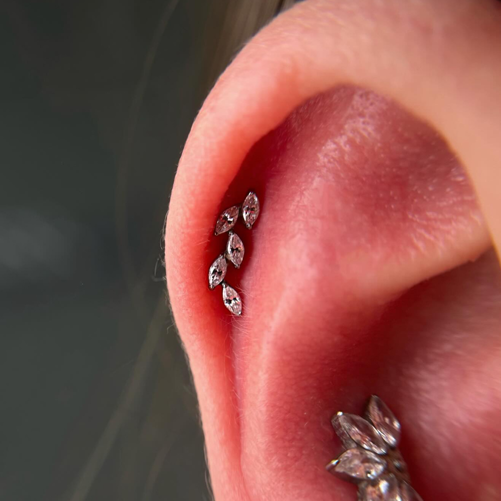 16G G23 Титановый пирсинг с пя – обзор и цена Cluster Stud Ear